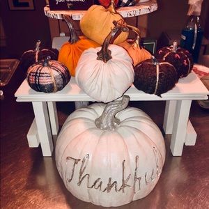 Set of 9 Pumpkins for Fall Thanksgiving Home Decor